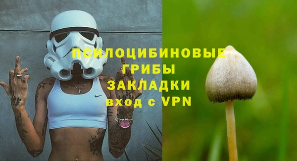 2c-b Мегион