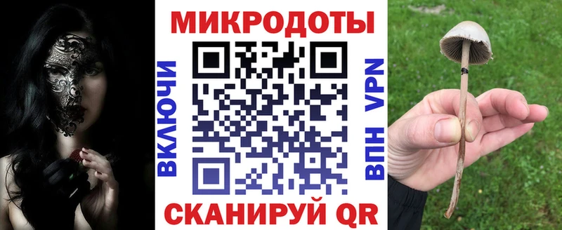 гидра ССЫЛКА  Шиханы  Галлюциногенные грибы Cubensis 